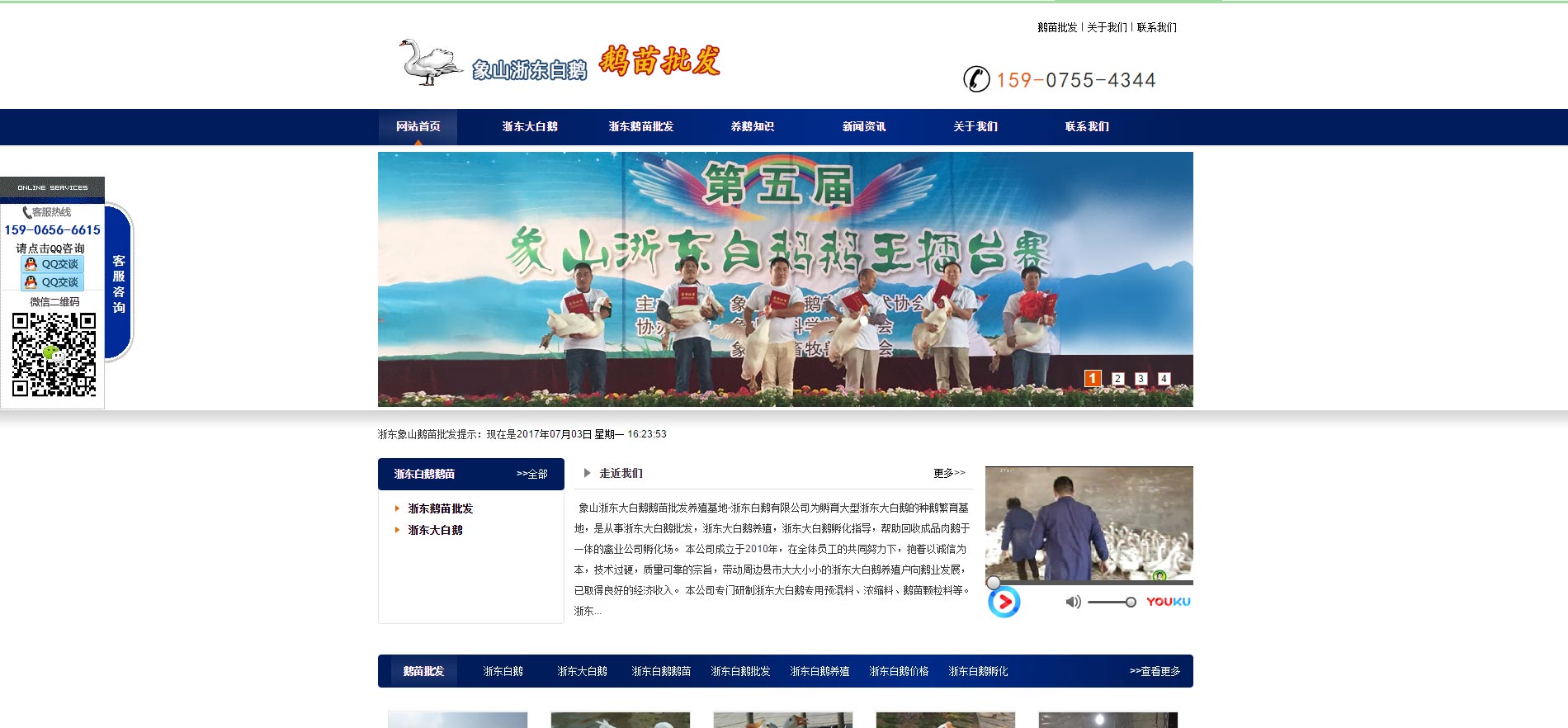 浙東大白鵝養殖批發(fā)網(wǎng)站建設